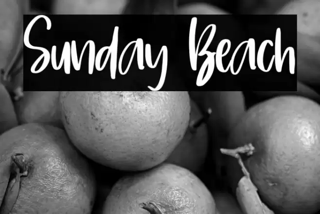 Sunday Beach Font examples