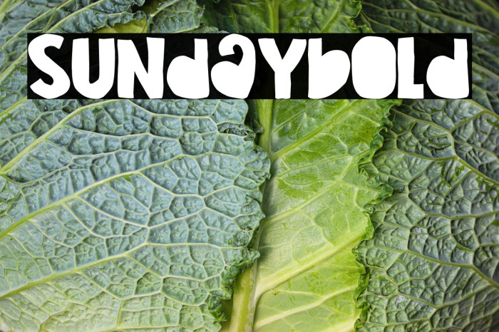 Sunday Bold Example 2