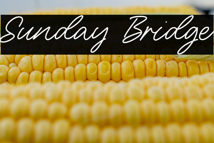 Sunday Bridge Example 1