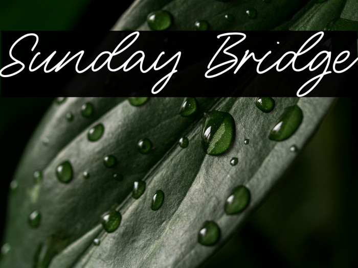 Sunday Bridge Example 2