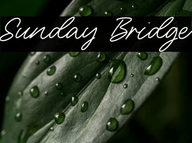 Sunday Bridge Example 2