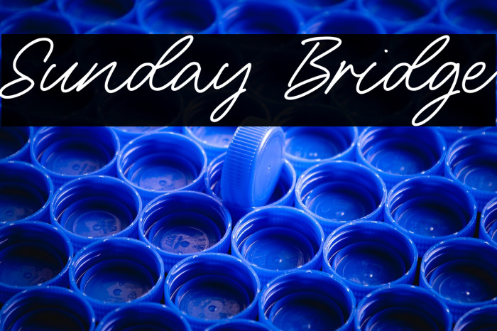 Sunday Bridge Example 3