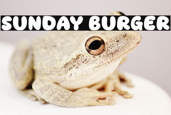 Sunday Burger Example 1