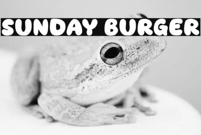 Sunday Burger Caratteri examples