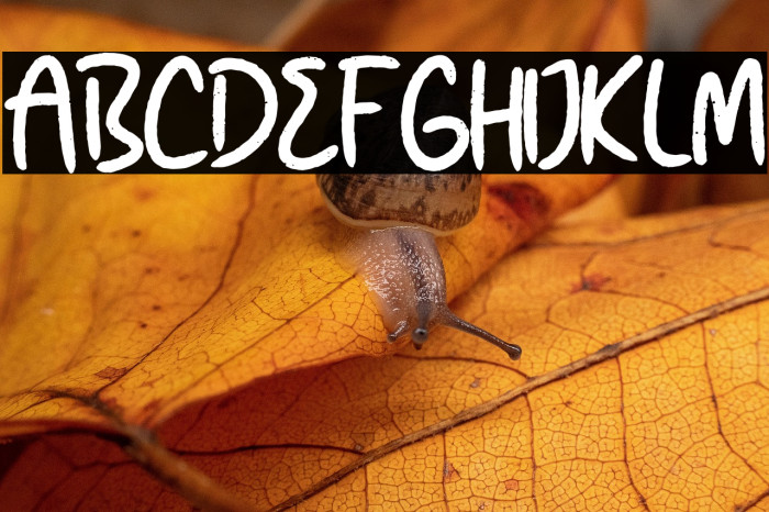 Sunday Buttercup Example 3