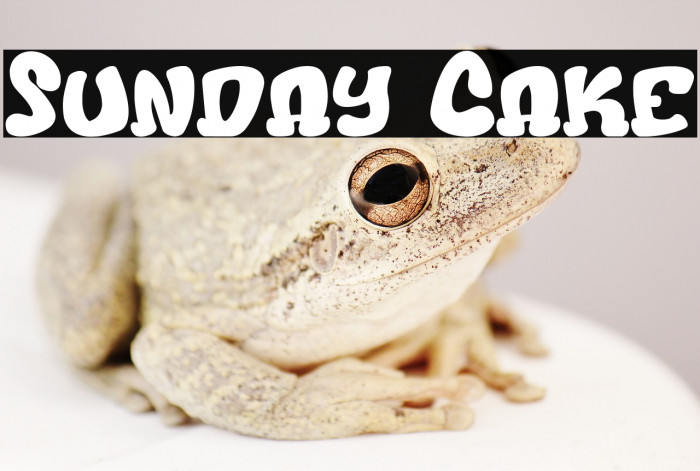 Sunday Cake Example 2