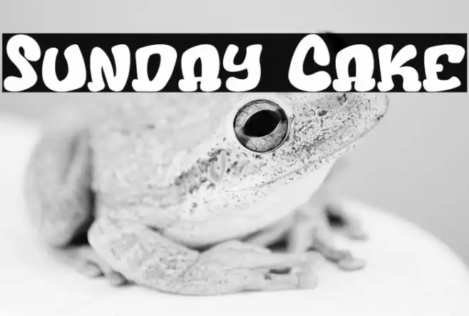 Sunday Cake Font examples