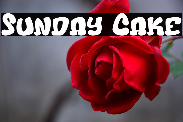 Sunday Cake Example 3