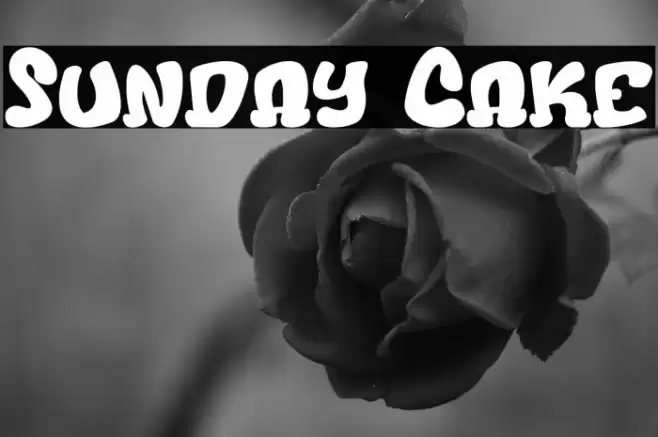 Sunday Cake Font examples