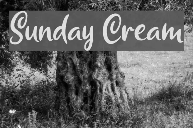 Sunday Cream Font examples