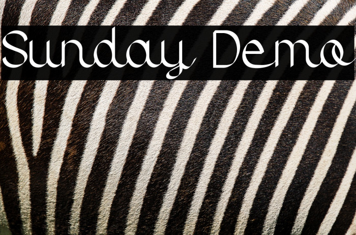 Sunday Demo Example 2