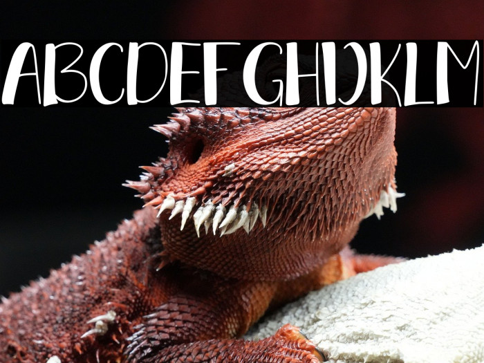 Sunday Display Example 3