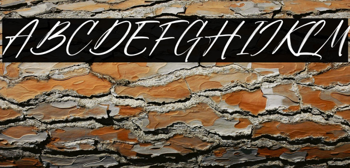 Sunday Freedom Italic Example 3