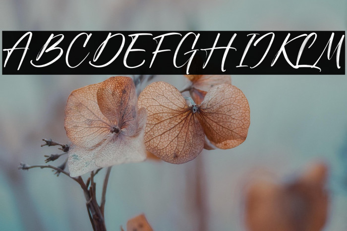 Sunday Freedom Example 2