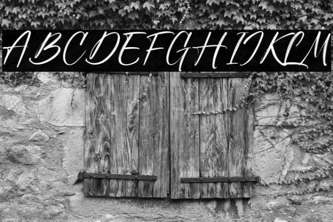 Sunday Freedom Font examples