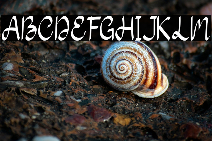 Sunday Fun Example 3