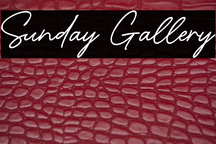 Sunday Gallery Example 1