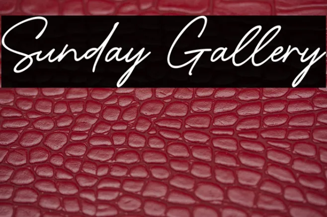Sunday Gallery Example 1
