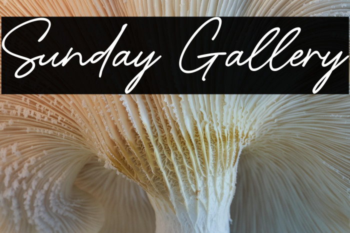 Sunday Gallery Example 2