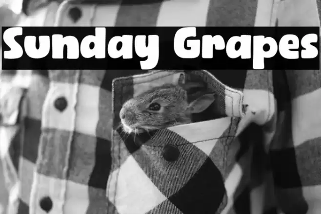 Sunday Grapes Font examples