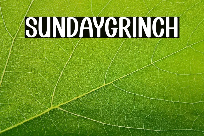 Sunday Grinch Example 3