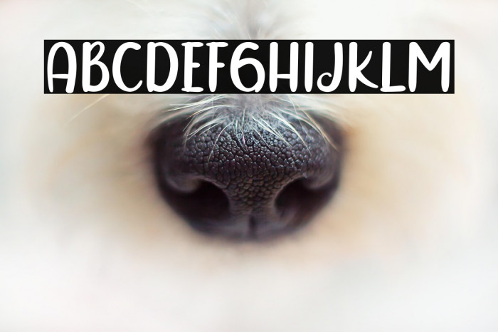 Sunday Grovy Example 2