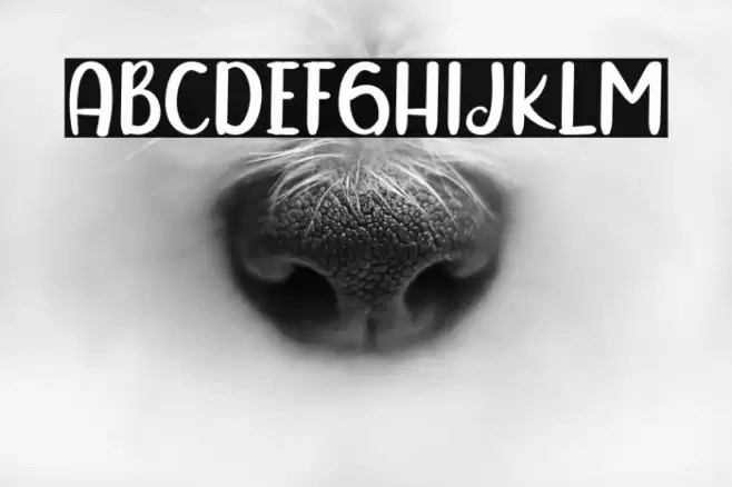 Sunday Grovy Font examples