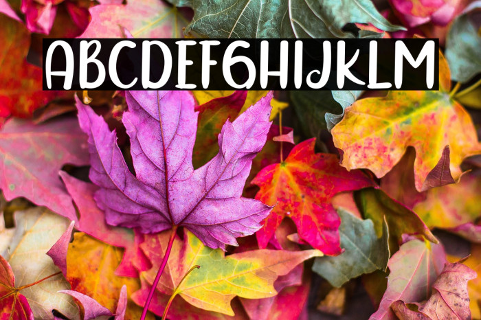 Sunday Grovy Example 3