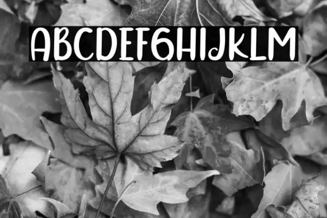 Sunday Grovy Font examples