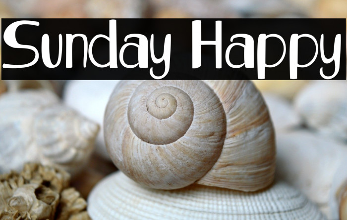 Sunday Happy Example 1