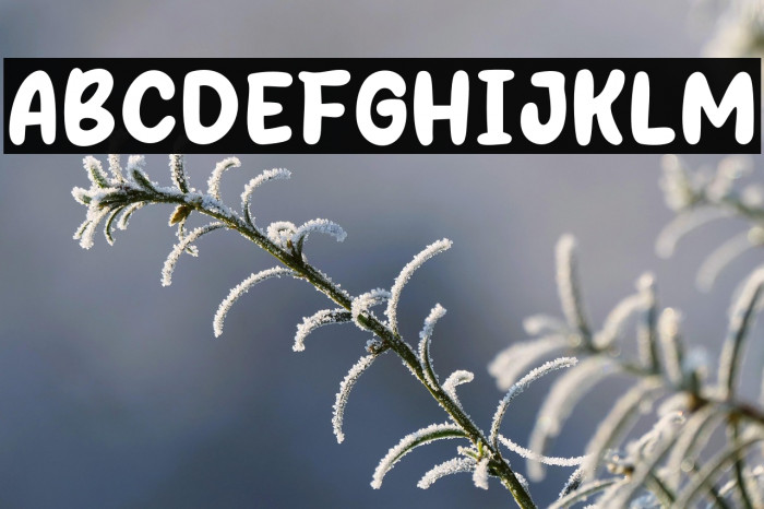 Sunday Hotdog Example 2