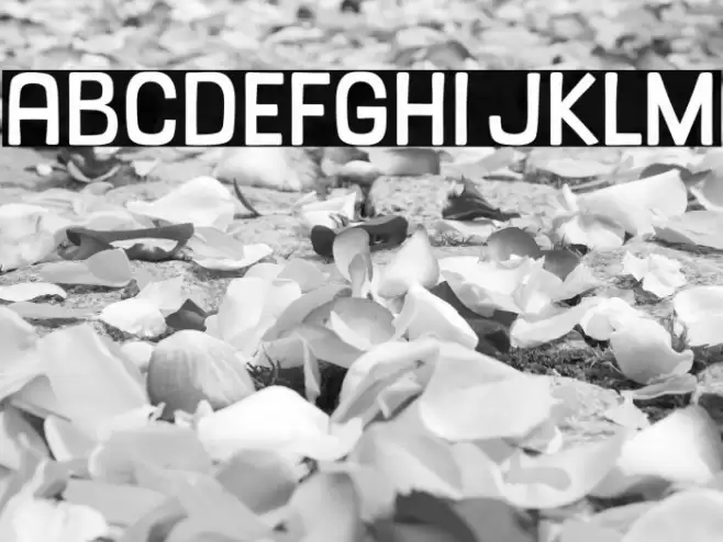 Sunday Lemon Font examples