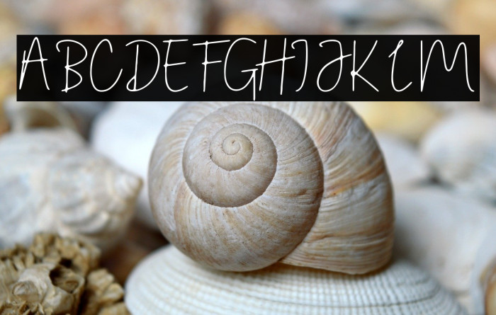 Sunday Memories font Example 1