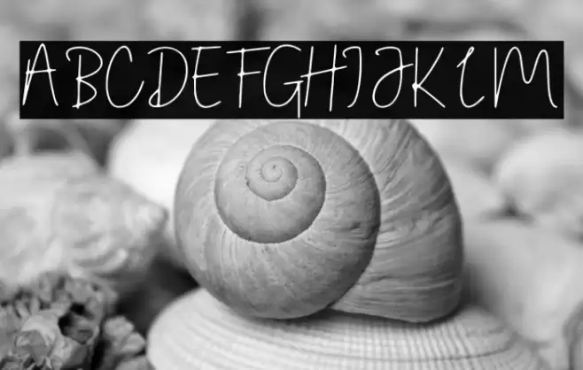 Sunday Memories font Font examples