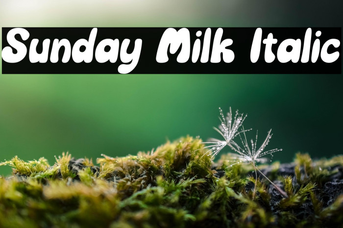 Sunday Milk Italic Example 1