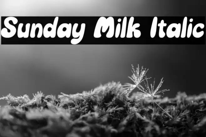 Sunday Milk Italic Font examples
