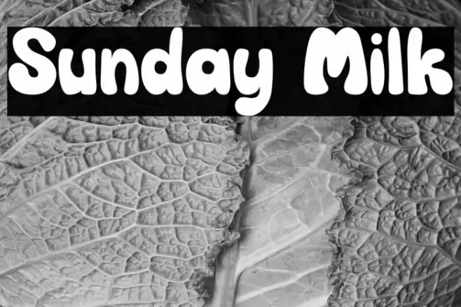 Sunday Milk Caratteri examples