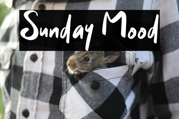 Sunday Mood Example 3