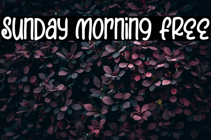 Sunday Morning FREE Example 2