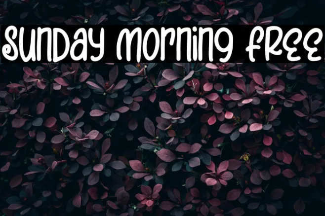 Sunday Morning FREE Example 2