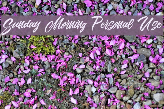 Sunday Morning Personal Use Font examples