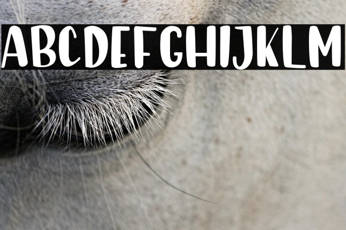 Sunday Morning Example 1