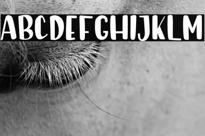 Sunday Morning Font examples