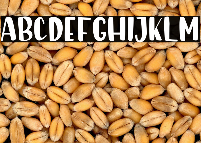 Sunday Morning Example 3