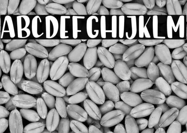 Sunday Morning Font examples