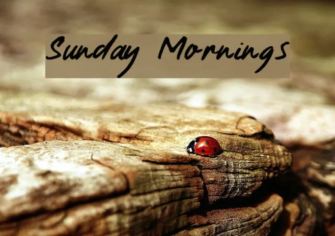 Sunday Mornings Example 3