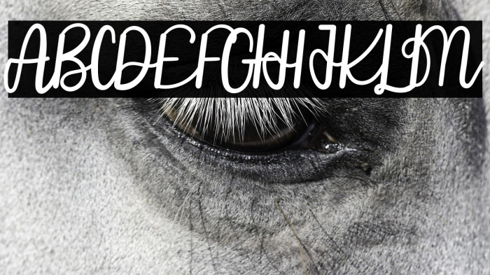 Sunday Of Beauty Example 2