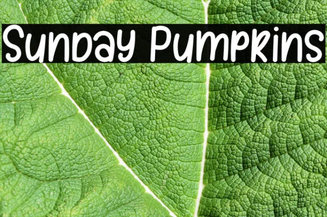Sunday Pumpkins Example 1
