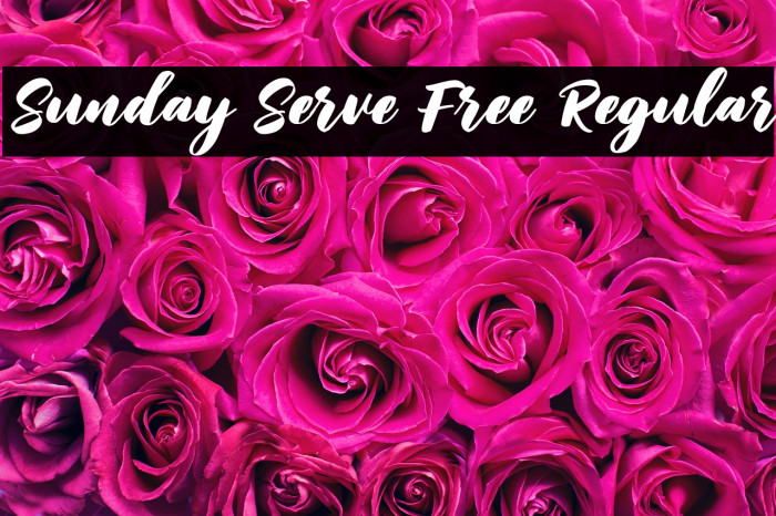 Sunday Serve Free Regular Example 1