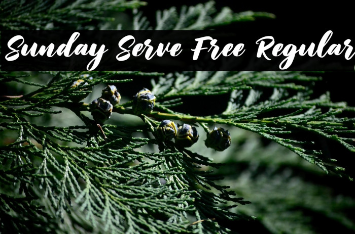 Sunday Serve Free Regular Example 2